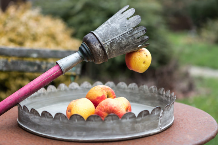 Cueille-fruits