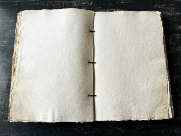 Livre "Artiste" – Image 4