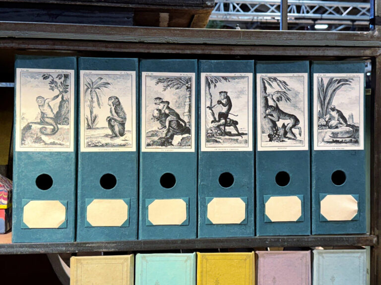 Ensemble de 6 boites pliantes "Singes"